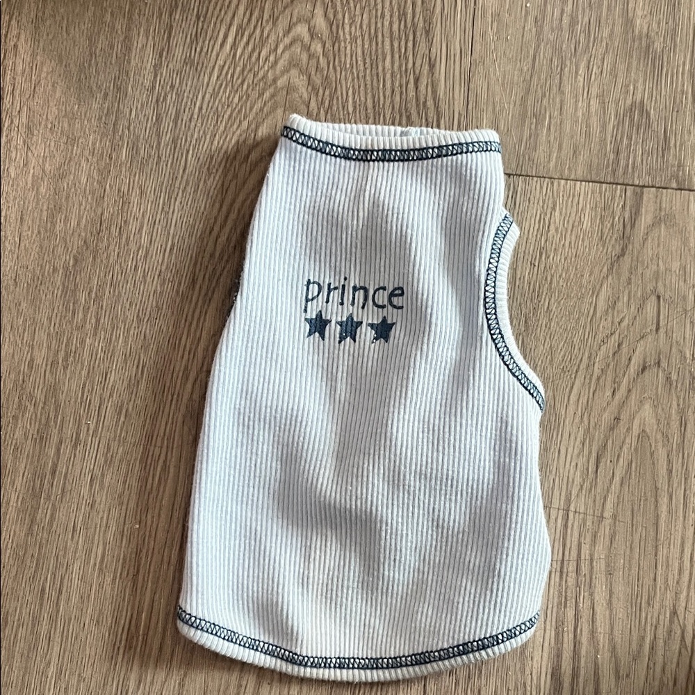 Prince White and Blue Kids Accessory